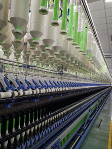 世界最大毛巾廠轉身擁抱互聯網，為何獨選拼多多？